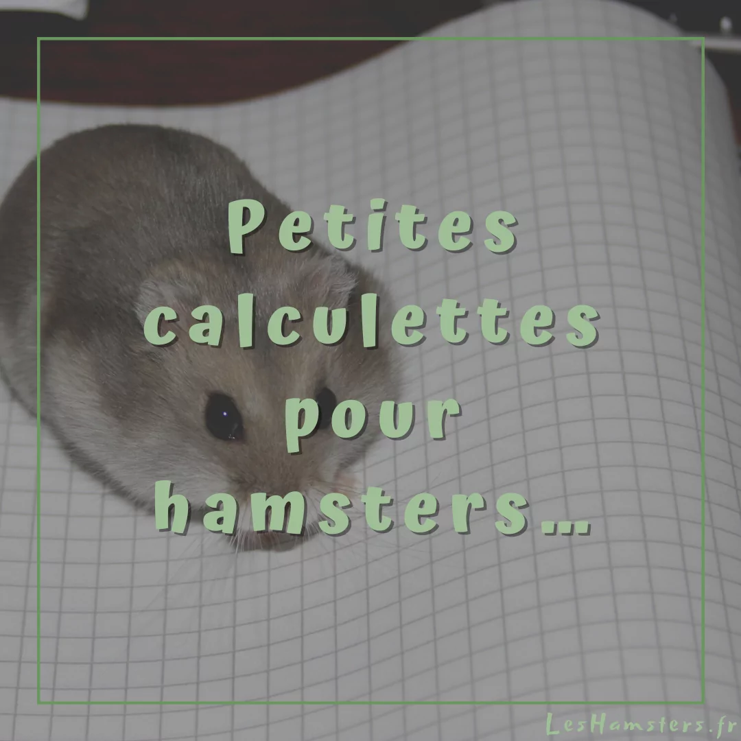 Petites calculettes pour hamsters…