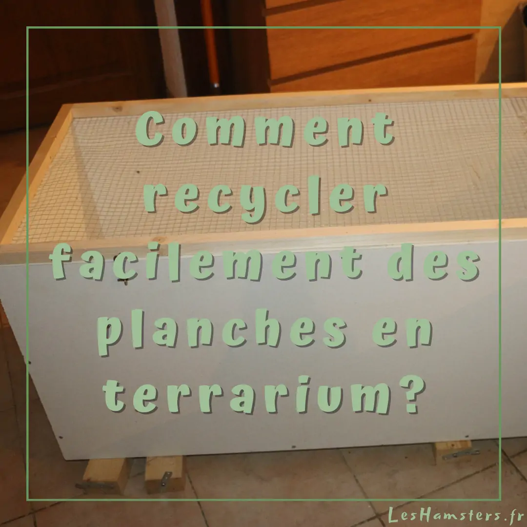 Comment recycler facilement des planches en terrarium?